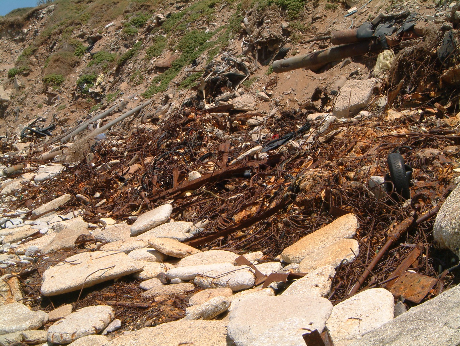 WhatsApp Image 2022-07-26 at 10.19.20 AM.jpeg